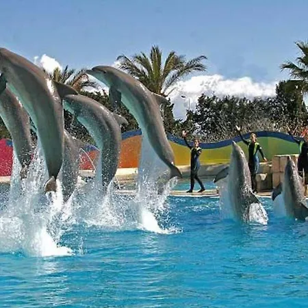아파트 Coquet A Avec Piscine Partagee / 40 M²