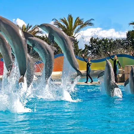 Lägenhet Coquet A Avec Piscine Partagee / 40 M²